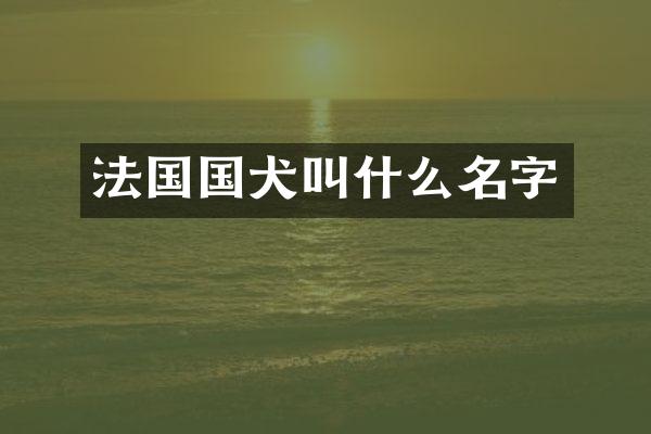 法国国犬叫什么名字