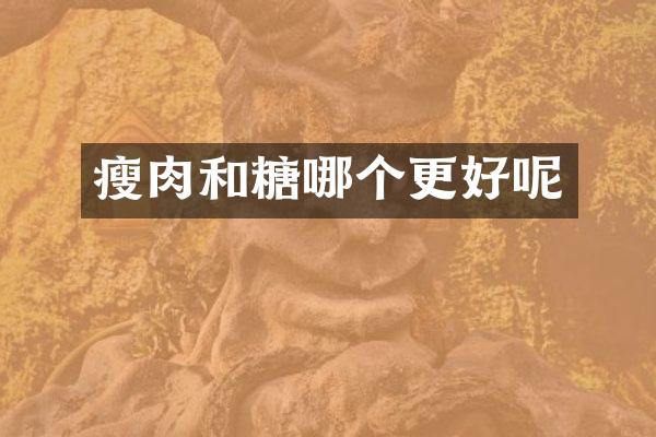 瘦肉和糖哪个更好呢