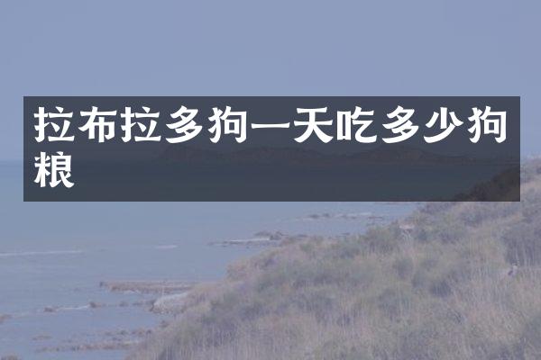 拉布拉多狗一天吃多少狗粮