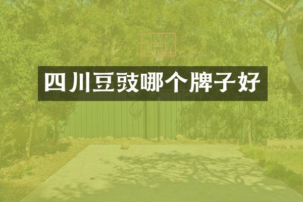 四川豆豉哪个牌子好