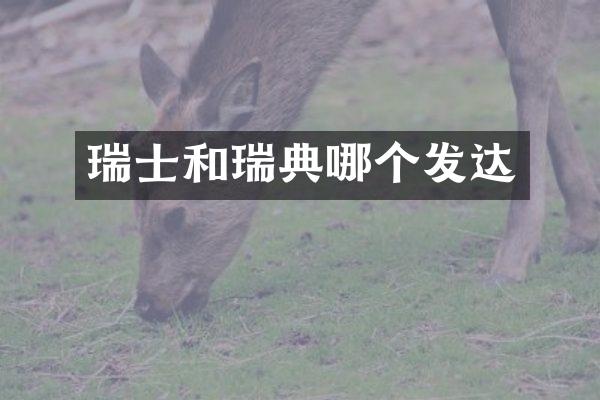 瑞士和瑞典哪个发达