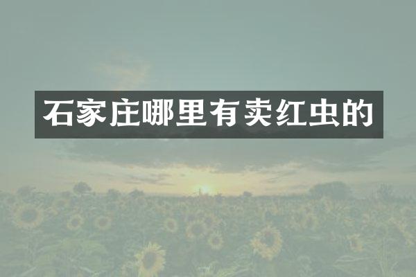石家庄哪里有卖红虫的