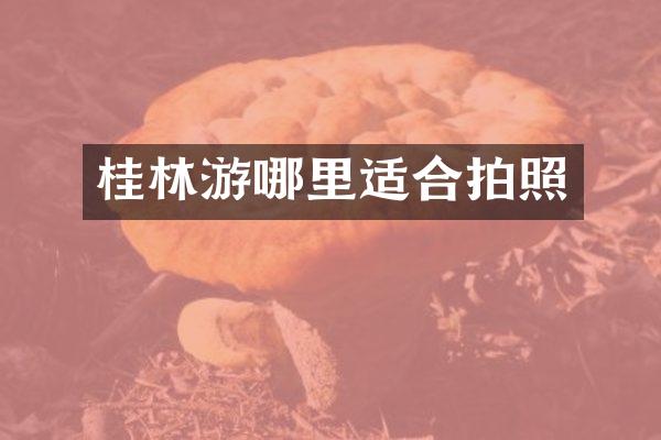 桂林游哪里适合拍照