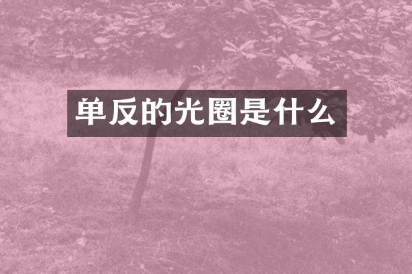 单反的光圈是什么