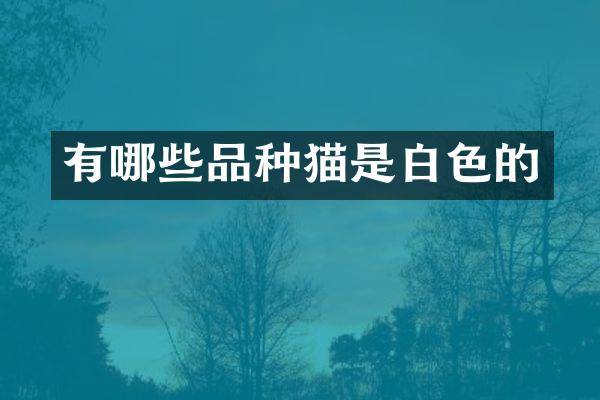 有哪些品种猫是白色的