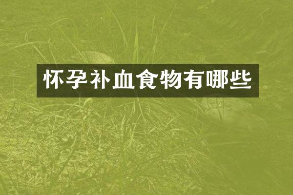 怀孕补血食物有哪些