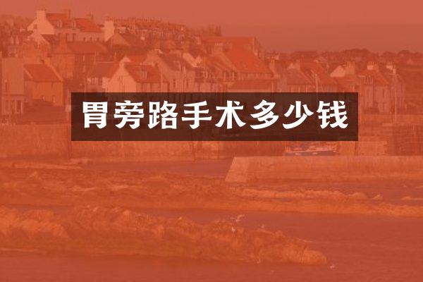 胃旁路手术多少钱