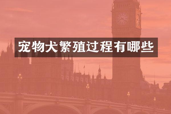 宠物犬繁殖过程有哪些