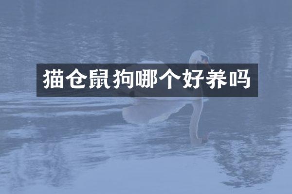 猫仓鼠狗哪个好养吗