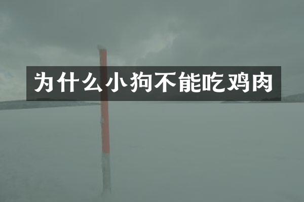 为什么小狗不能吃鸡肉
