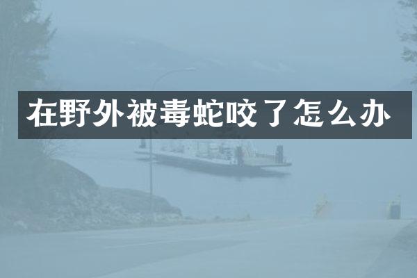 在野外被毒蛇咬了怎么办