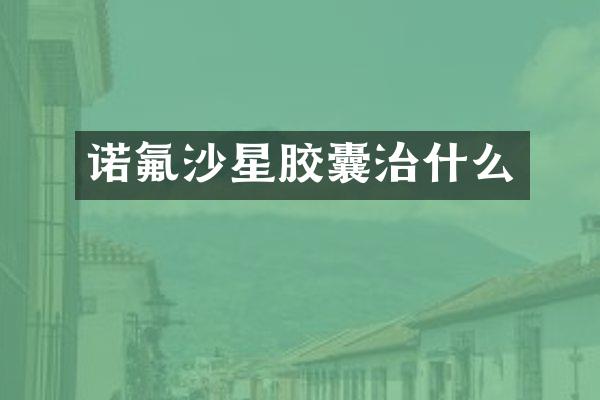 诺氟沙星胶囊治什么