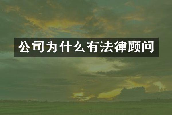 公司为什么有法律顾问