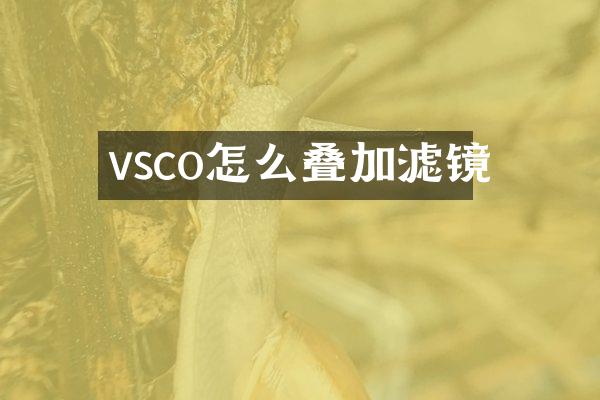 vsco怎么叠加滤镜