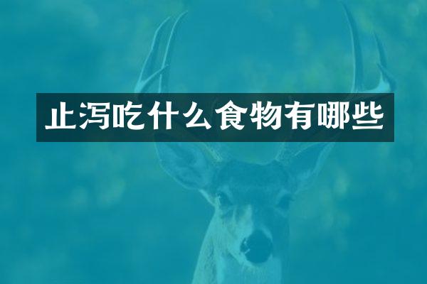 止泻吃什么食物有哪些