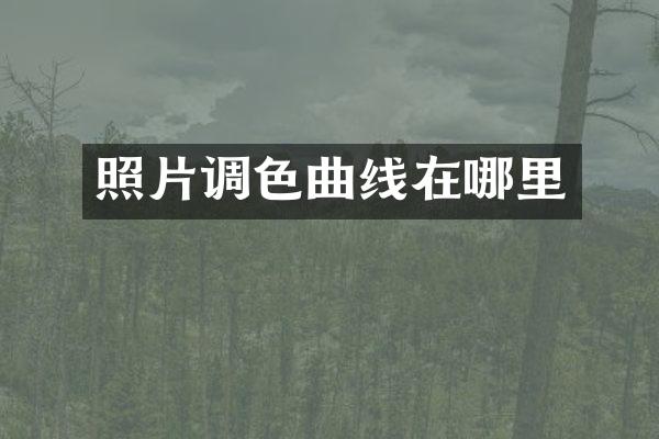 照片调色曲线在哪里