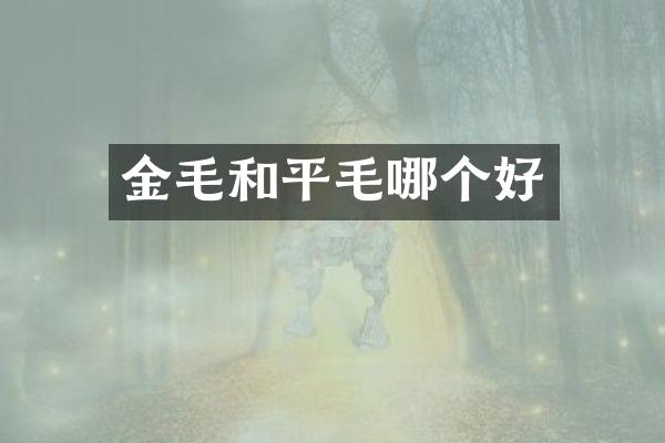 金毛和平毛哪个好
