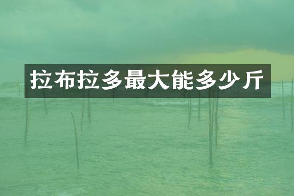 拉布拉多最大能多少斤