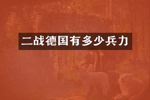 二战德国有多少兵力