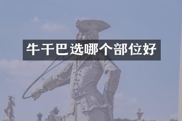 牛干巴选哪个部位好