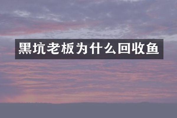 黑坑老板为什么回收鱼