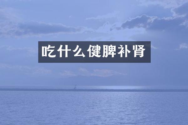 吃什么健脾补肾