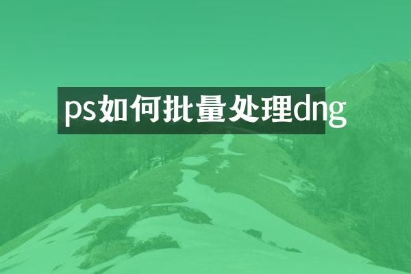 ps如何批量处理dng