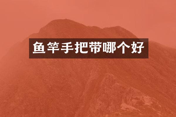 鱼竿手把带哪个好