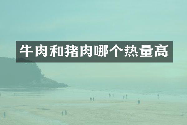 牛肉和猪肉哪个热量高