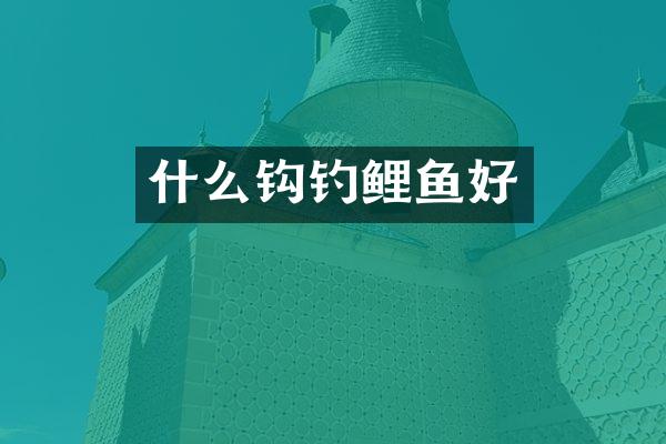 什么钩钓鲤鱼好