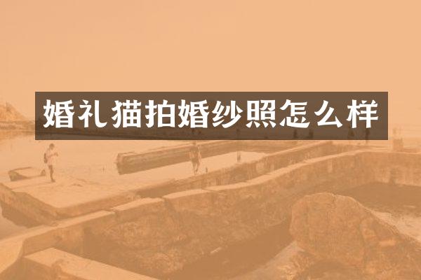 婚礼猫拍婚纱照怎么样