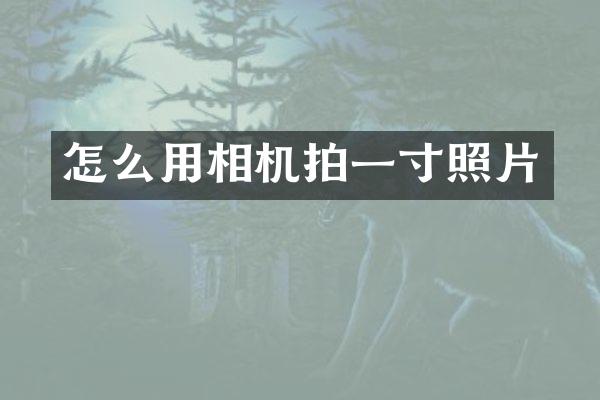 怎么用相机拍一寸照片