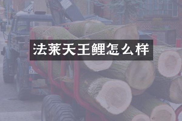 法莱天王鲤怎么样