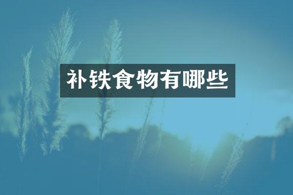 补铁食物有哪些