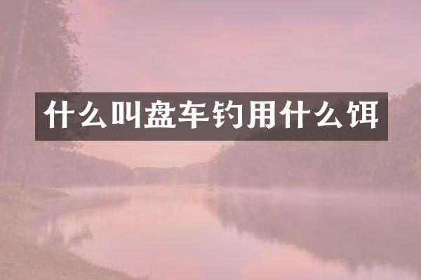 什么叫盘车钓用什么饵