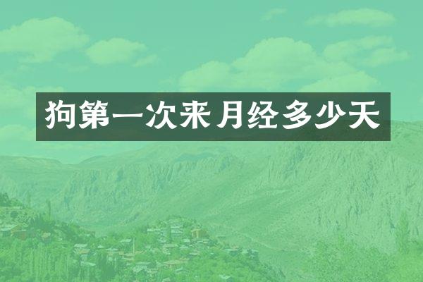 狗第一次来月经多少天