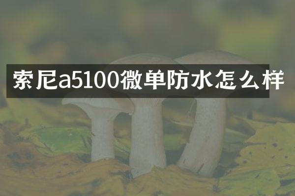 索尼a5100微单防水怎么样