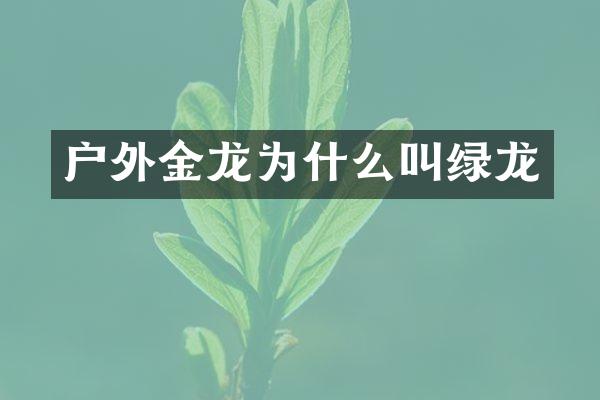 户外金龙为什么叫绿龙