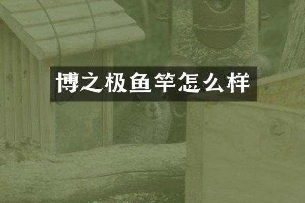 博之极鱼竿怎么样