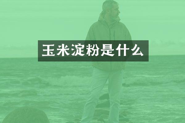 玉米淀粉是什么