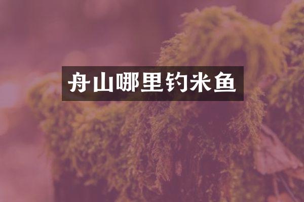 舟山哪里钓米鱼