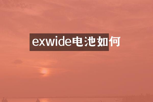 exwide电池如何