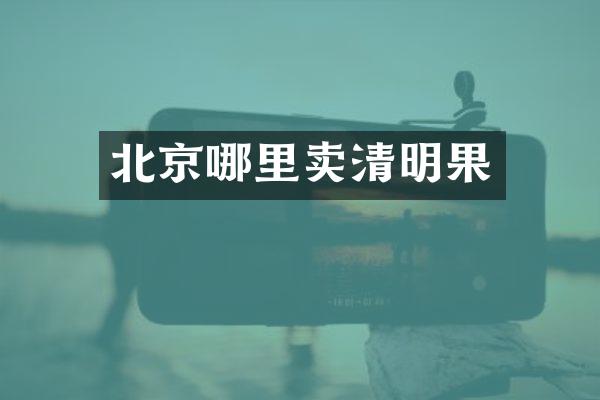 北京哪里卖清明果