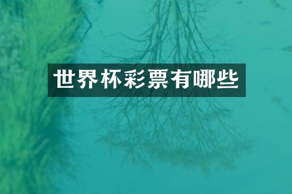 世界杯彩票有哪些