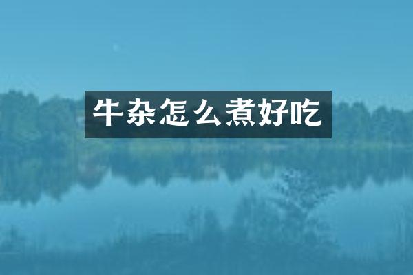 牛杂怎么煮好吃