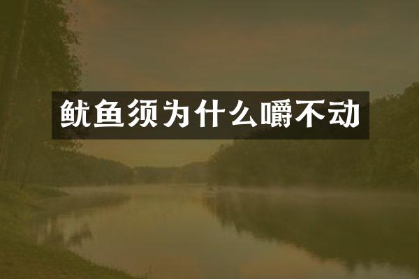 鱿鱼须为什么嚼不动