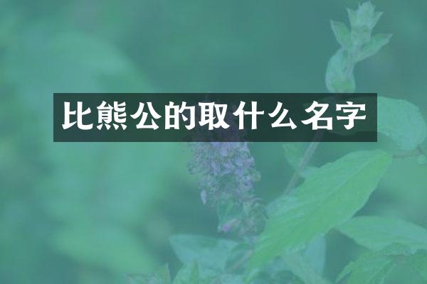 比熊公的取什么名字