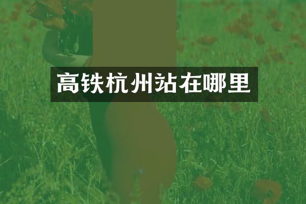 高铁杭州站在哪里