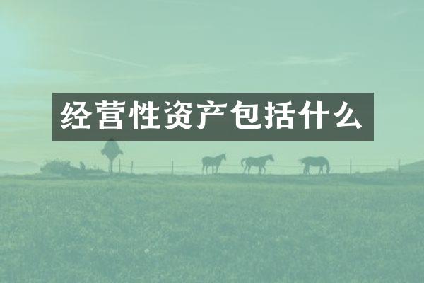 经营性资产包括什么