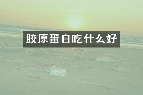 胶原蛋白吃什么好